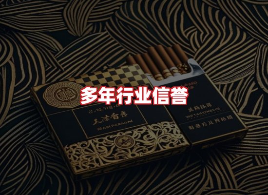 专业团队